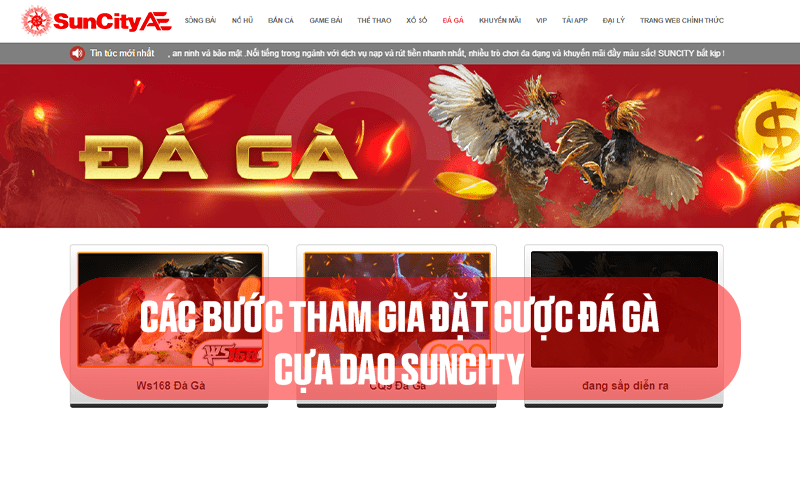 Các bước tham gia cá cược đá gà cựa dao SUNCITY