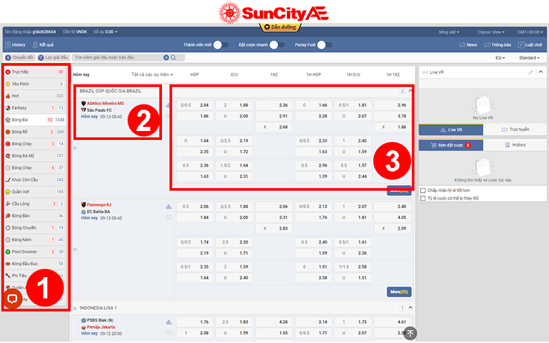 Giao diện cá cược bóng đá SUNCITY